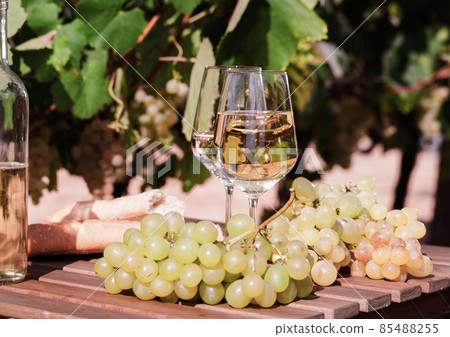 glass of White wine ripe grapes and bread on table in vineyard 85488255