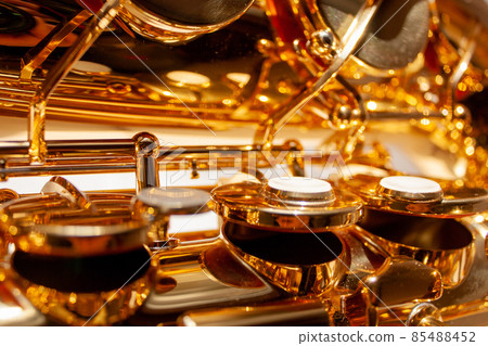 Saxophone saxophone alto saxophone Saxophone saxophone alto saxophone 85488452
