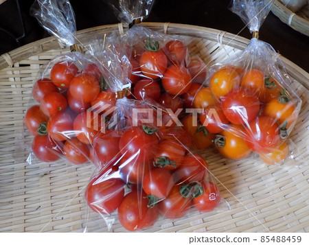 Bagged tomatoes 85488459