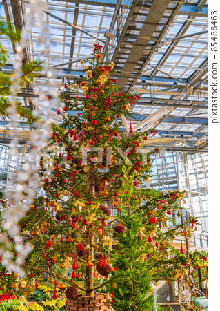 Winter Denpark, Christmas Display <Anjo City, Aichi Prefecture> 85488463