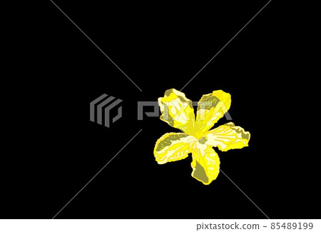 Botanical flowers Botanical flowers 85489199