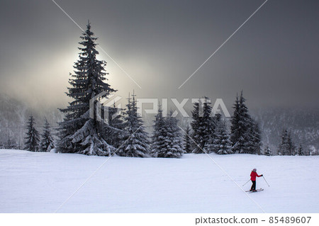 Skier in red on a beautiful foggy landscape Skier in red on a beautiful foggy landscape 85489607