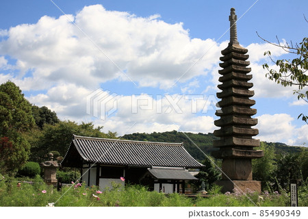 Stone pagoda, Hannyaji Temple (Cosmos Temple) [Nara City, Nara Prefecture] 85490349
