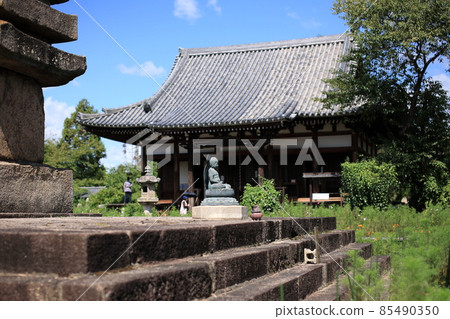 Hannyaji Temple (Cosmos Temple) [Nara City, Nara Prefecture] 85490350