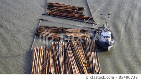 Logs pulled by a tugboat on Fraser River. 85490739