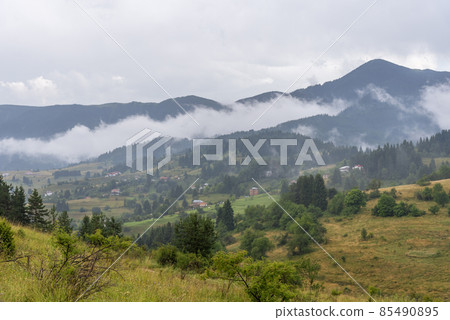 Fog in the forest at Bulgaria. 85490895