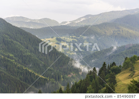 Fog in the forest at Bulgaria. 85490897
