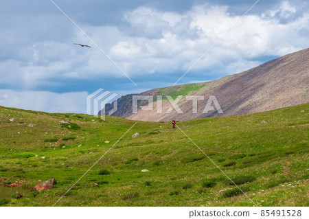 Solo hiking in the picturesque summer mountains. Heavy climb in the mountains with a backpack. Travel lifestyle, hiking hard track, adventure concept in summer vacation. Solo hiking in the picturesque summer mountains. Heavy climb in the mountains with a backpack. Travel lifestyle, hiking hard track, adventure concept in summer vacation. 85491528