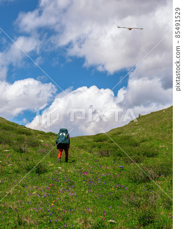 Solo hiking in the picturesque summer mountains. Heavy climb in the mountains with a backpack. Travel lifestyle, hiking hard track, adventure concept in summer vacation. Vertical view. Solo hiking in the picturesque summer mountains. Heavy climb in the mountains with a backpack. Travel lifestyle, hiking hard track, adventure concept in summer vacation. Vertical view. 85491529