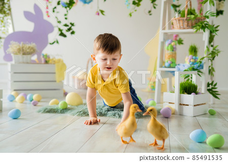Cute child boy follows fluffy ducklings in Easter studio decoration. Easter for children.  85491535