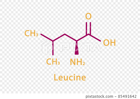 Leucine chemical formula. Leucine structural chemical formula isolated on transparent background. 85491642