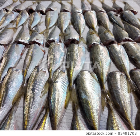 魚，竹莢魚，烹飪過程，烹飪 85491708