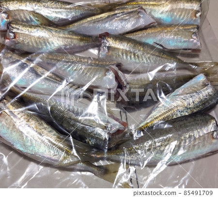 魚,竹莢魚,烹飪過程,烹飪 魚,竹莢魚,烹飪過程,烹飪 85491709