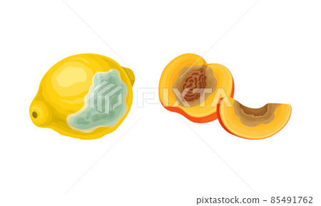 Decomposed Stinky Rotten Fruit with Peach and Lemon Having Bad Spots Vector Set 85491762