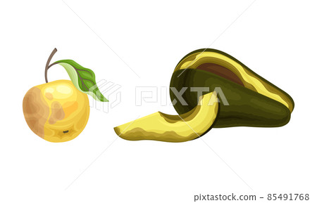 Decomposed Stinky Rotten Fruit with Avocado and Apple Having Bad Spots Vector Set Decomposed Stinky Rotten Fruit with Avocado and Apple Having Bad Spots Vector Set 85491768