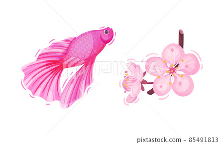 Bright Pink Tropical Flower with Orchid and Fish Vector Set 85491813