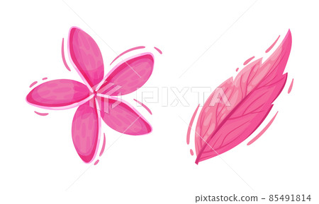 Bright Pink Flower with Plumeria and Leaf Vector Set Bright Pink Flower with Plumeria and Leaf Vector Set 85491814