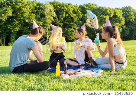 Teenage birthday party picnic on the grass in the park 85493620
