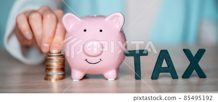 The girl makes a payment, tax and piggy bank. The girl makes a payment, tax and piggy bank. 85495192
