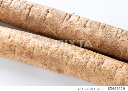 上牛蒡。 （白色背景） 85495629