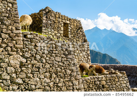 Machu Picchu Inca ruins in Peru, South America 85495662