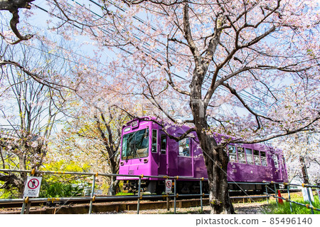 京都嵐電-櫻花隧道- 85496140