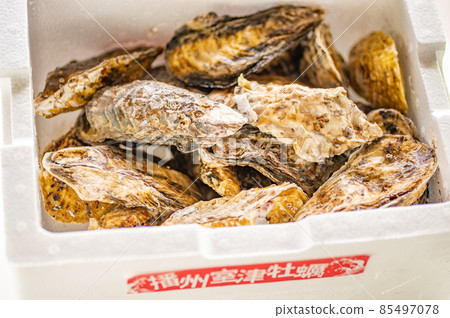 Pacific oysters sent in a toro box 85497078