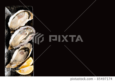 Winter taste oysters Winter taste oysters 85497174