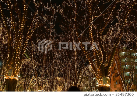 Sendai Pageant of Starlight 2021 85497300