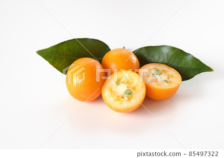Kumquat with white background 85497322