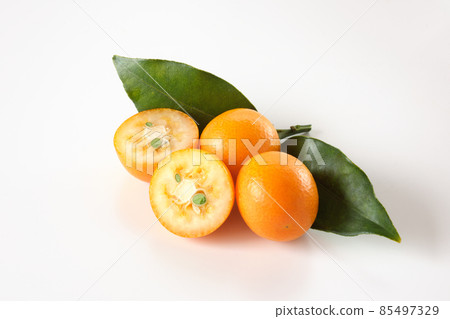 白色背景的金橘 85497329
