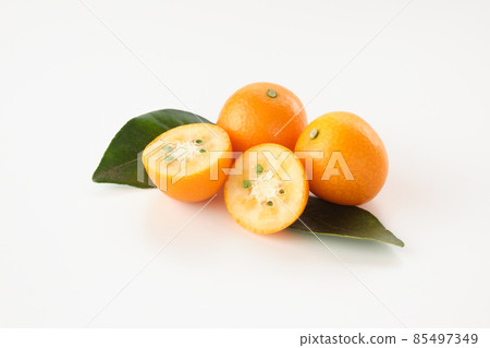 白色背景的金橘 85497349