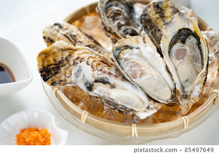 Winter taste raw oysters Winter taste raw oysters 85497649