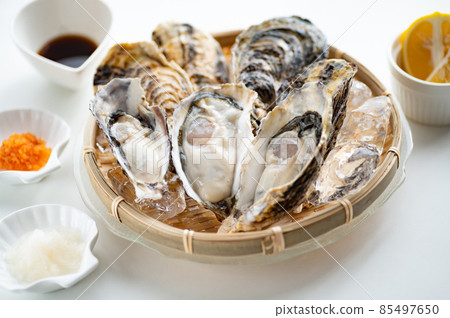 Winter taste raw oysters 85497650