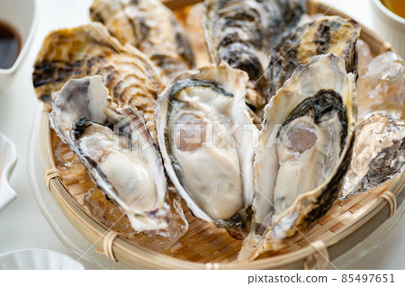 Winter taste raw oysters 85497651