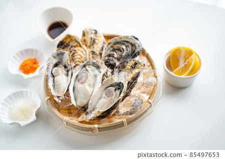 Winter taste raw oysters 85497653