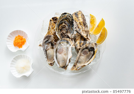 Winter taste raw oysters 85497776