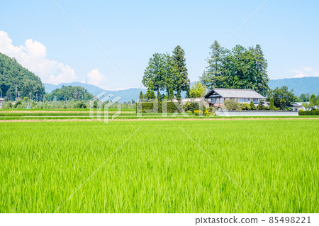 Country landscape in summer Country landscape in summer 85498221
