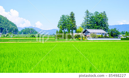 國家景觀在夏天 國家景觀在夏天 85498227