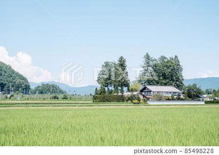 國家景觀在夏天 國家景觀在夏天 85498228
