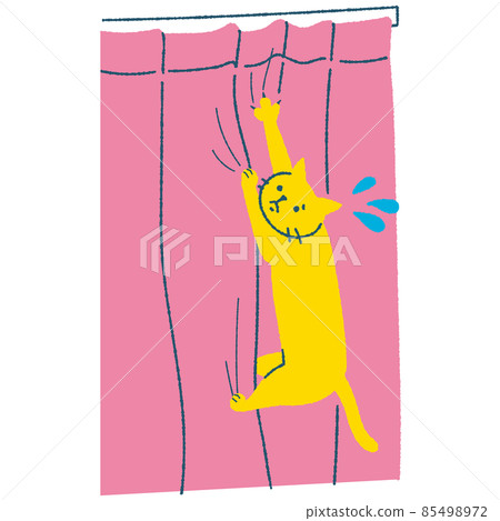 一隻爪子被窗簾夾住的貓 85498972