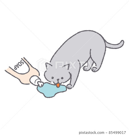 Cat licking detergent 85499017