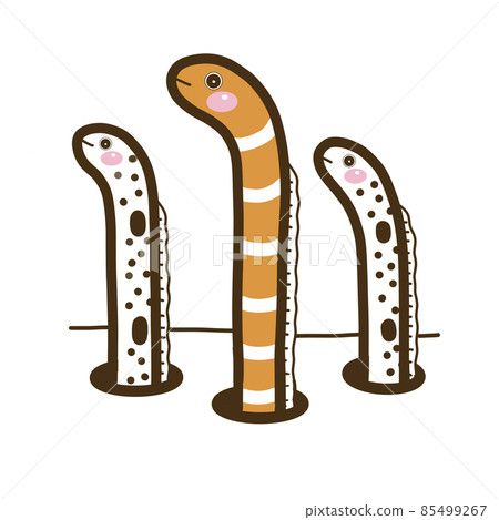 插圖素材 斑點花園鰻 85499267