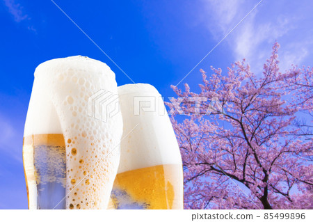 Beer at cherry blossom viewing 85499896