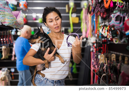 Asian woman with dog choosing collar in pet shop Asian woman with dog choosing collar in pet shop 85499973