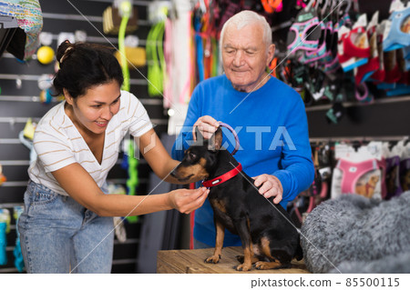 Woman choosing collar for her dog in pet shop Woman choosing collar for her dog in pet shop 85500115