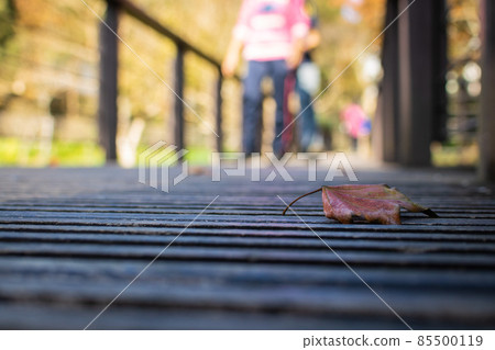 臺灣,春天,梅花,落葉,木棧道,公園,角板山.美麗.散景 85500119