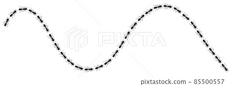 Ants trail curve. Ant path isolated in white background. Vector illustration Ants trail curve. Ant path isolated in white background. Vector illustration 85500557