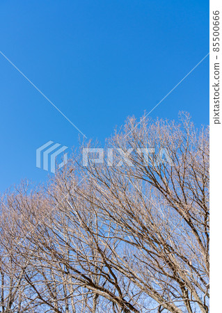 Nature image Nature image 85500666