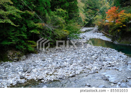 秋天清流中川溪谷 秋天清流中川溪谷 85501033